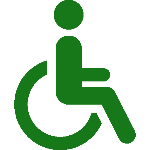 disabled logo